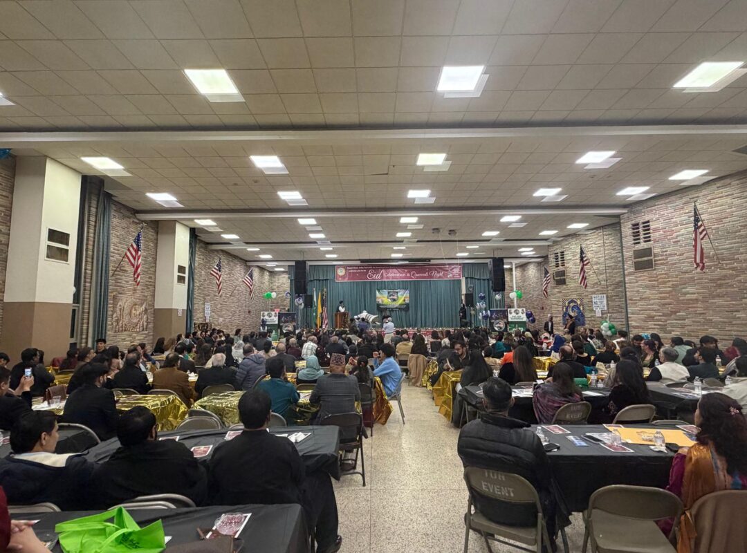 WhatsApp Image 2026-03-23 at 12.33.08 PM